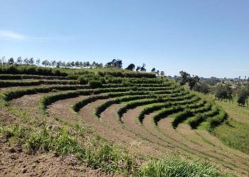 Lubero: un enfant  retrouvé mort dans une maison d&rsquo;habitation à kikuvu