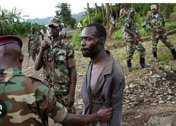 Insécurité à Rutshuru : La structure CEPPFE alerte sur des exactions commises par le m23/RDF