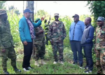 Rutshuru-Insécurité: Le m23/RDF en coalition avec l&rsquo;alliance fleuve congo menacent les agriculteurs