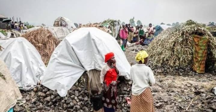 Guerre à l’Est: Dépourvus des moyens, certains hommes déplacés de guerre fuient leurs responsabilités à Rusayo, La guerre du M23 et ses conséquences fâcheuses