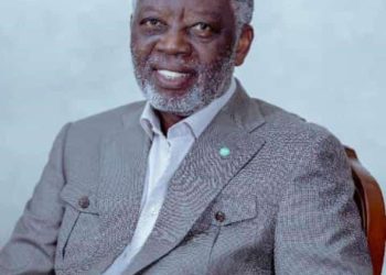 Nord-Kivu: Une victoire non surprenante, Elvis Mutiri proclamé élu par la cour d&rsquo;appel de Goma