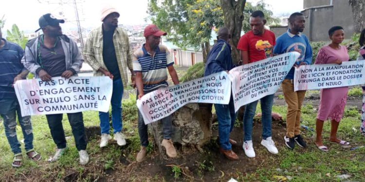 Masisi-environnement: Dossier Nzulo, les jeunes résistent aux décisions de l&rsquo;ICCN
