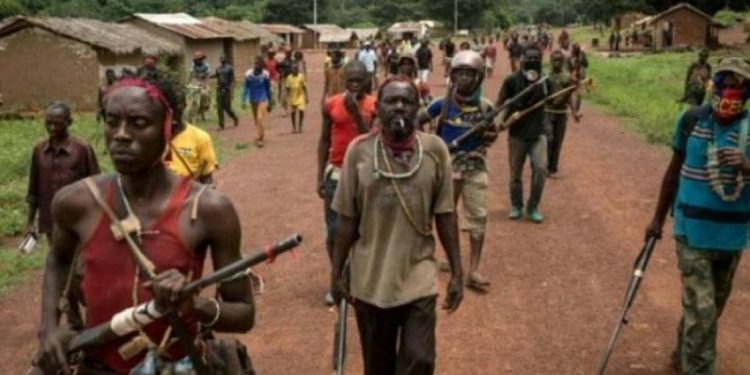 Ituri : un mort et des portés disparus dans une nouvelle incursion de la milice Zaïre à Djugu