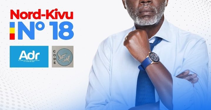 Elections sénatoriales au Nord-Kivu : Que va faire concrètement l’Honorable Elvis Mutiri wa Bashara au sénat ?