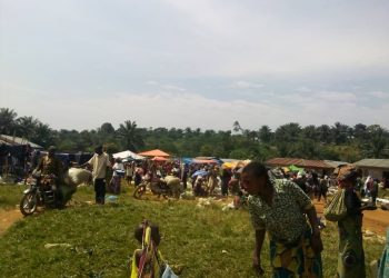 Lubero :les activités économiques reprennent progressivement en groupement Mwenye