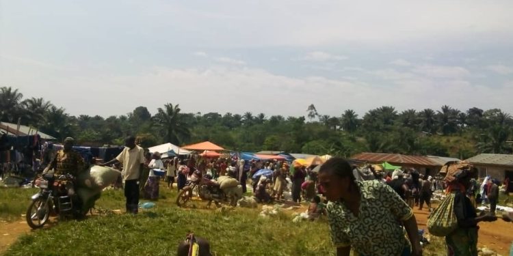 Lubero :les activités économiques reprennent progressivement en groupement Mwenye