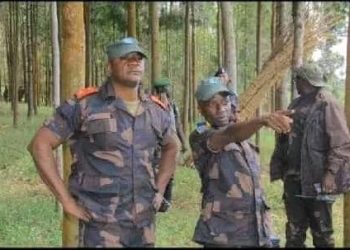 Guerre du M23: la Lucha fustige la gestion des opérations militaires au sud de lubero