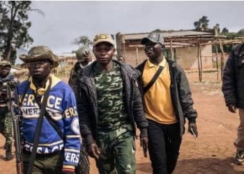 Ituri : Une femme de troisième âge tuée et plusieurs bêtes pillées dans une nouvelle attaque à Djugu