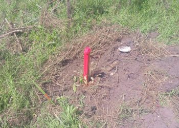 Ituri :Des habitants et parents d&rsquo;élèves de l&rsquo;EP Sarang s&rsquo;insurgent contre la spoliation de leur concession à Bunia