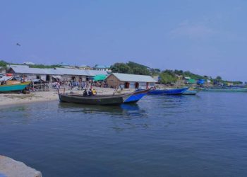 ITURI : Une dizaine de miliciens neutralisés par les FARDC à Joo