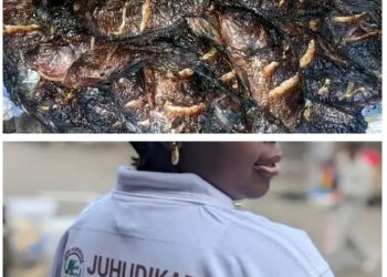Journée nationale du poisson en RDC: aperçu sur l&rsquo;entrepreneure Antigone Tegera
