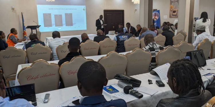 Situation des retournés au Nord-Kivu : présentation de rapport