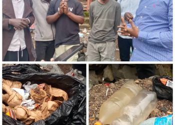Goma : la mairie met la main sur une bande de malfaiteurs spécialisée dans la vente du chanvre et des boissons fortement alcoolisées