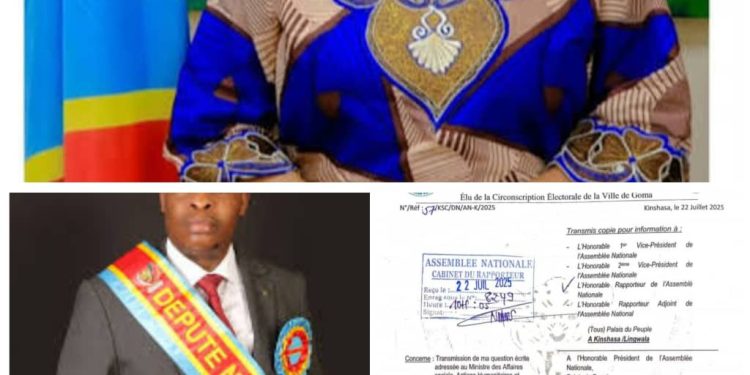 Guerre à l&rsquo;Est, situation humanitaire critique, Charles Sabungo interpelle Eve Bazaiba