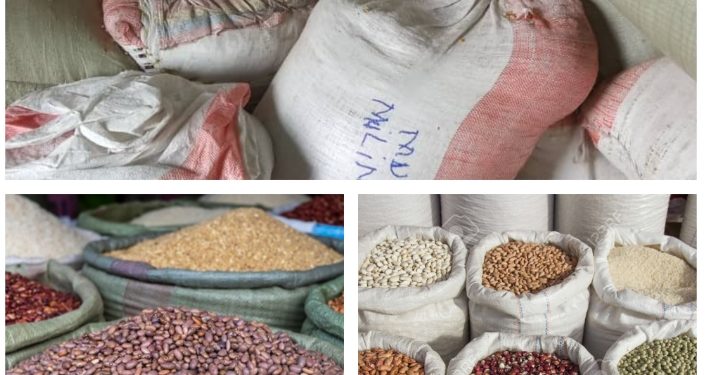 Rutshuru : Chute drastique du prix des haricots, commerçants et agriculteurs en détresse