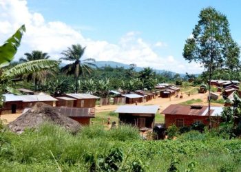 ‎Rutshuru : Odette Paulo tuée et trois hommes  blessés par les FDLR à Busanza