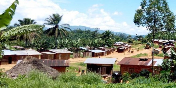 ‎Rutshuru : Odette Paulo tuée et trois hommes  blessés par les FDLR à Busanza