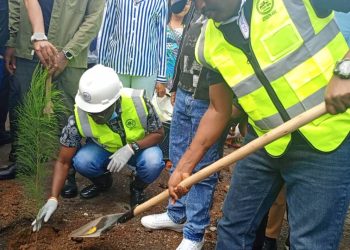 Salongo à Goma : Le gouverneur Bahati Musanga Erasto lance une opération majeure de reboisement