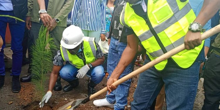 Salongo à Goma : Le gouverneur Bahati Musanga Erasto lance une opération majeure de reboisement