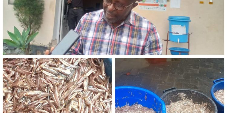 Goma: Itinérance du maire à Kituku de suivi de la réglementation de la pêche sur les eaux du lac Kivu