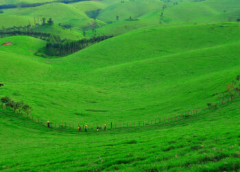 Masisi : Le gouverneur convoque les acteurs du secteur agro-pastoral à une importante réunion à Goma