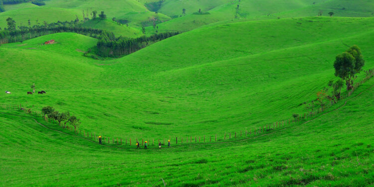 Masisi : Le gouverneur convoque les acteurs du secteur agro-pastoral à une importante réunion à Goma