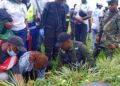 Salongo à Goma : La mairie poursuit la lutte contre le réchauffement climatique par la plantation d&rsquo;arbres