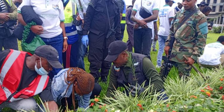 Salongo à Goma : La mairie poursuit la lutte contre le réchauffement climatique par la plantation d&rsquo;arbres