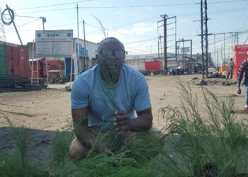 Goma: Une personne replante cent arbres contre deux endommagés au quartier Himbi