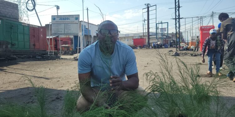Goma: Une personne replante cent arbres contre deux endommagés au quartier Himbi