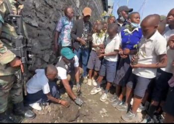 Goma: Des écoliers plantent l’arbre près de leur école et s’engagent à faire son suivi pour son accroissement