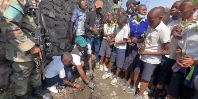 Goma: Des écoliers plantent l’arbre près de leur école et s’engagent à faire son suivi pour son accroissement