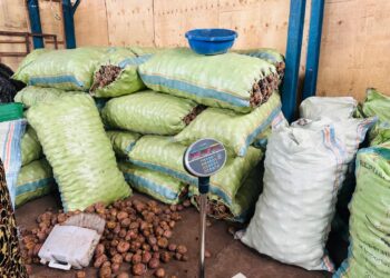 Goma: Les prix de la pomme de terre et de la chair rouge fixés par la mairie, inappliqués sur le marché(Maire)