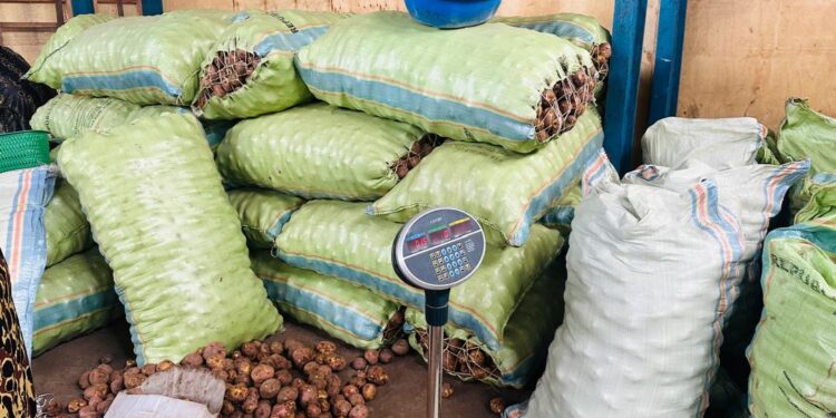 Goma: Les prix de la pomme de terre et de la chair rouge fixés par la mairie, inappliqués sur le marché(Maire)