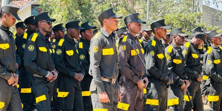 Goma: Trois cents gardiens formés pendant deux mois par la société KNJ protection services, reçoivent leurs brevets