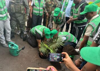 Goma: Salongo spécial focalisé sur la plantation d’arbres, Nangaa met en terre 9 plantules