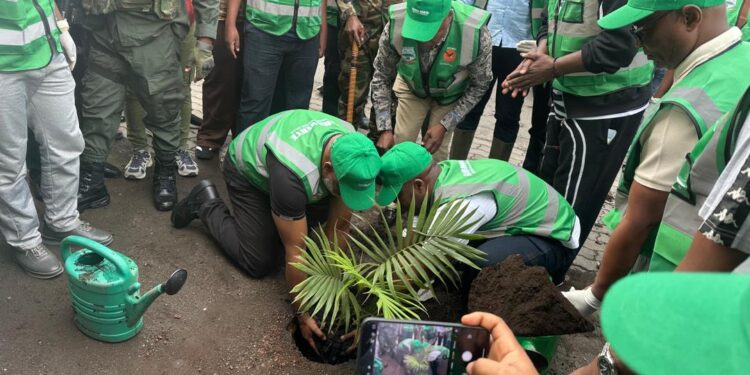Goma: Salongo spécial focalisé sur la plantation d’arbres, Nangaa met en terre 9 plantules
