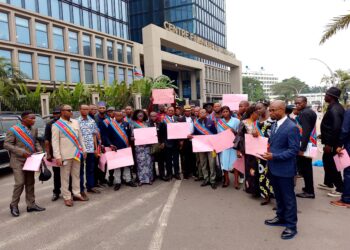 RDC : les conseillers communaux réclament le paiement de leurs droits au ministre des Finances DOUDOU FWAMBA