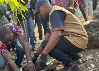 Salongo à Goma: Poursuite de l’opération de plantation d’arbres, 1500 plantules d’espèce palmiste mis en terre