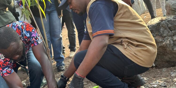 Salongo à Goma: Poursuite de l’opération de plantation d’arbres, 1500 plantules d’espèce palmiste mis en terre