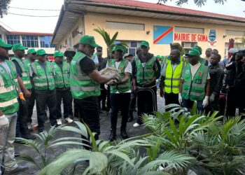 Goma: Salongo spécial focalisé sur la plantation d’arbres, Nangaa met en terre 9 plantules