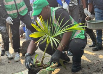 Salongo à Goma: La mairie exige la plantation d’arbres fruitiers dans les parcelles