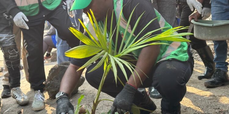 Salongo à Goma: La mairie exige la plantation d’arbres fruitiers dans les parcelles