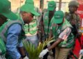 Salongo à Goma: Les deux vices gouverneurs du Nord Kivu, aux côtés du maire de la ville pour planter l’arbre