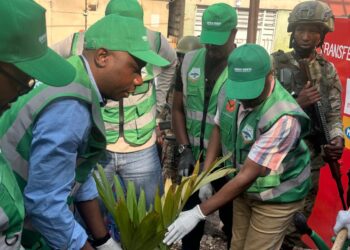 Salongo à Goma: Les deux vices gouverneurs du Nord Kivu, aux côtés du maire de la ville pour planter l’arbre