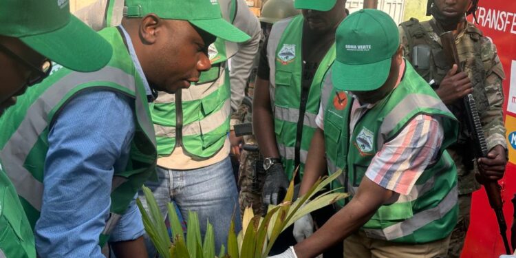 Salongo à Goma: Les deux vices gouverneurs du Nord Kivu, aux côtés du maire de la ville pour planter l’arbre