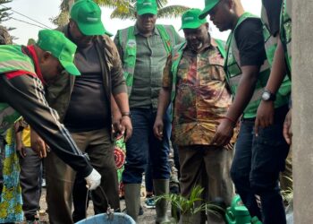 Salongo à Goma: Bertrand Bisimwa de l’AFC/M23 recommande à la population de planter deux arbres dans chaque parcelle