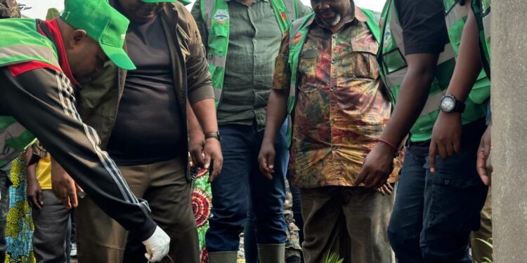 Salongo à Goma: Bertrand Bisimwa de l’AFC/M23 recommande à la population de planter deux arbres dans chaque parcelle