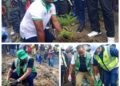 Salongo à Goma: Le tour de planter les arbres aux quartiers Mugunga et Lac Vert, plus de 3000 arbres mis en terre