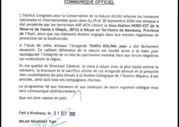 Mambasa : un écogarde tué lors d’une attaque contre la Réserve de faune à okapis